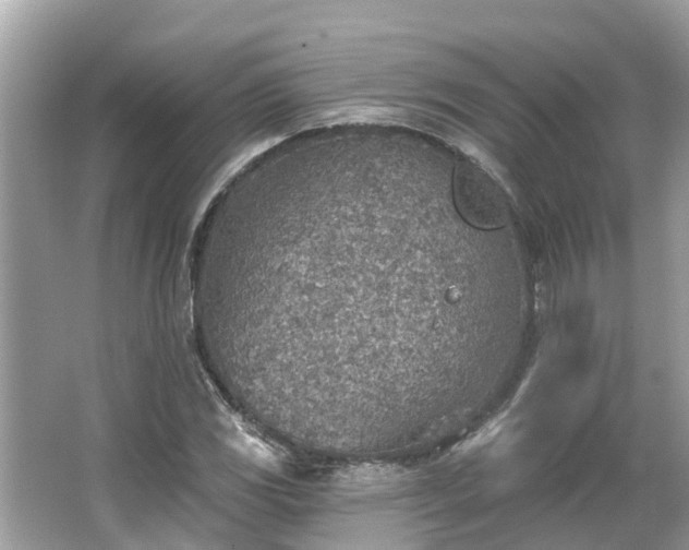 X0000063451117200601231345