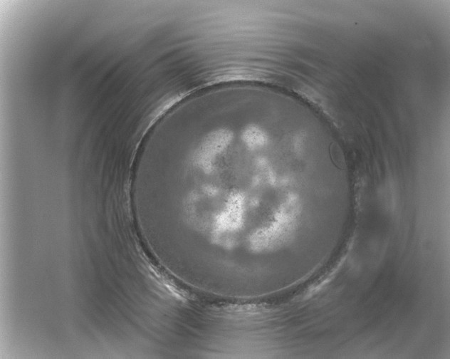 X0000063451121200601231345