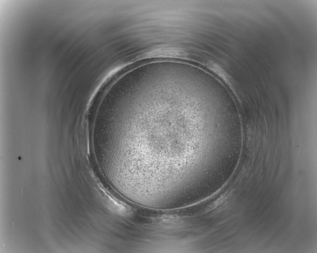 X0000063451123200601231345