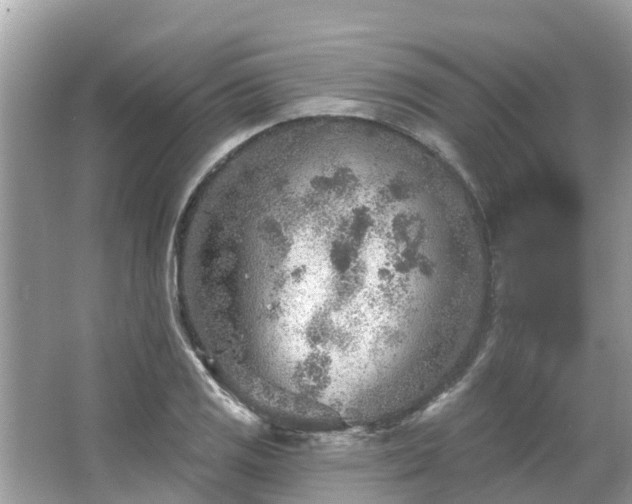 X0000063451125200601231345