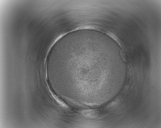 X0000063451127200601231345