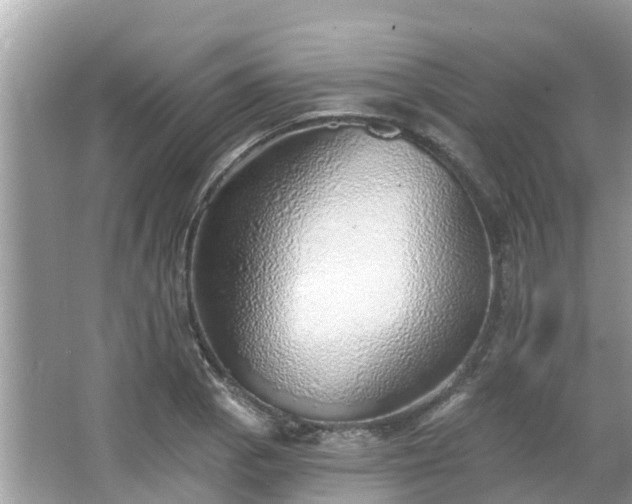 X0000063451129200601231345