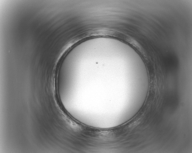 X0000063451130200601231345