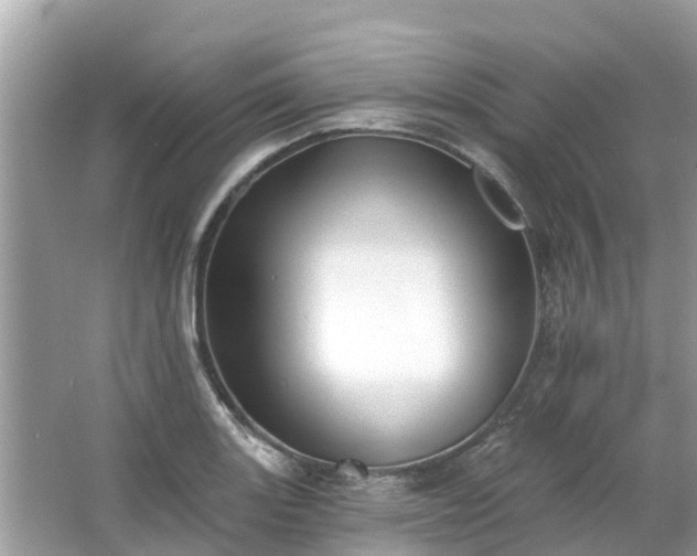 X0000063451131200601231345