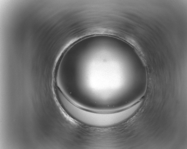 X0000063451136200601231345