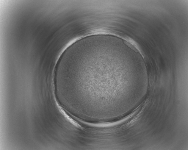 X0000063451142200601231345