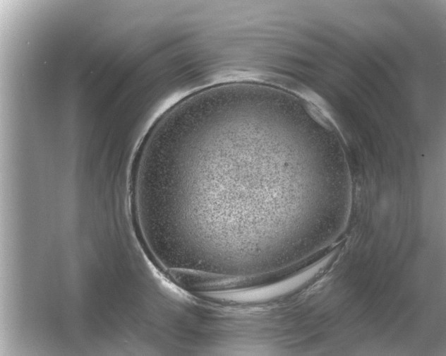 X0000063451143200601231345