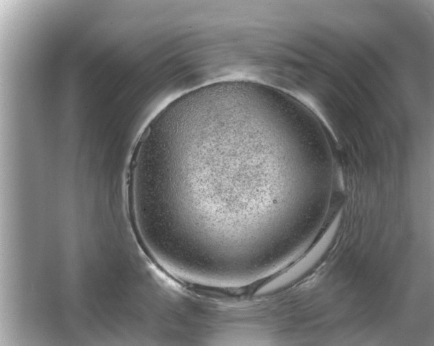 X0000063451151200601231345