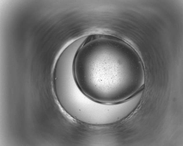 X0000063451152200601231345