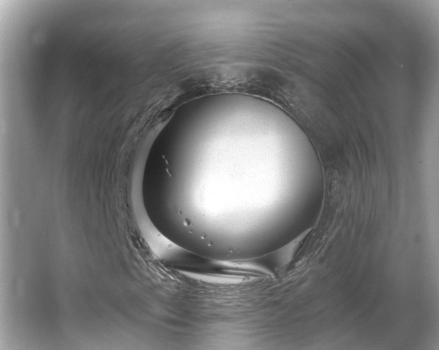 X0000063451153200601231344