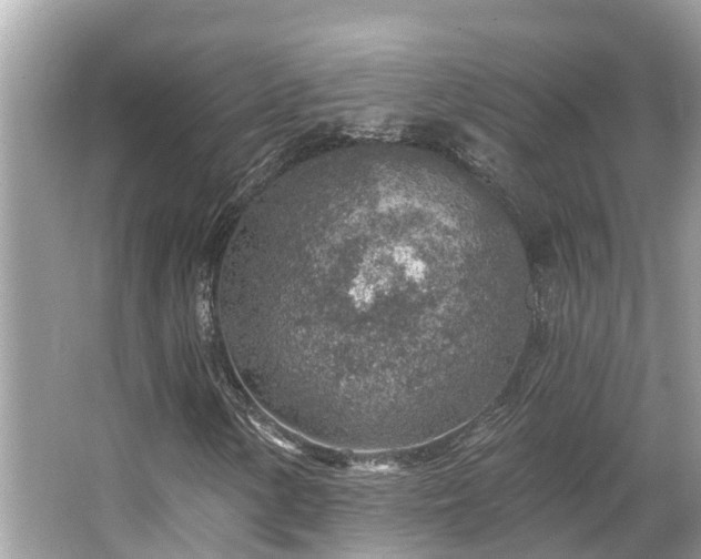 X0000063451154200601231344