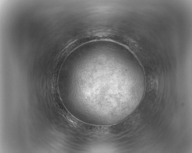 X0000063451158200601231344