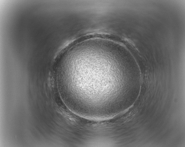 X0000063451159200601231344