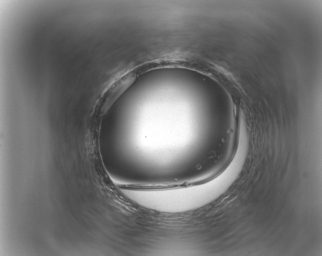 X0000063451160200601231344