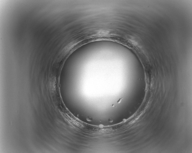 X0000063451161200601231344