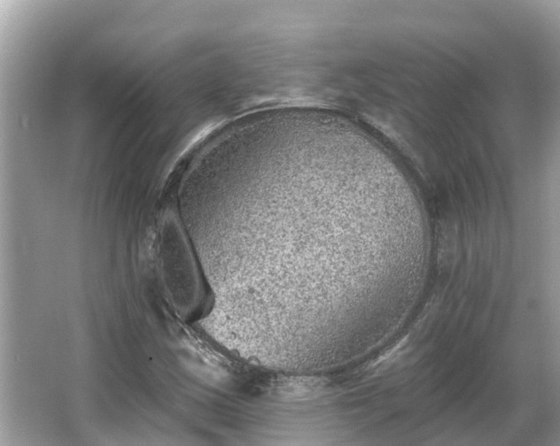 X0000063451163200601231344