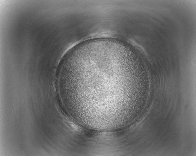 X0000063451166200601231344