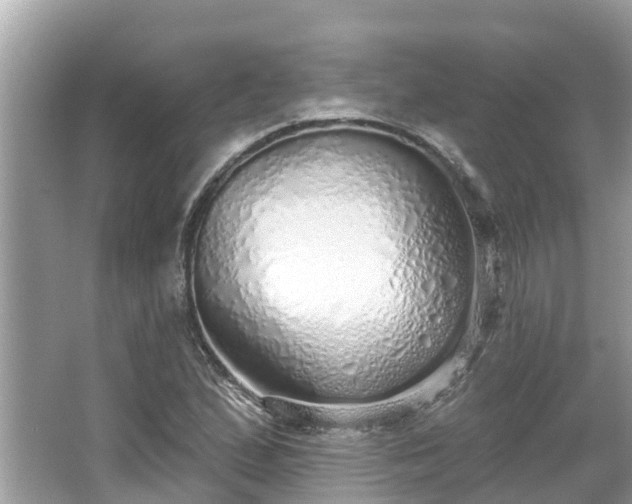 X0000063451167200601231344