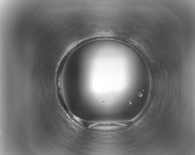 X0000063451168200601231344