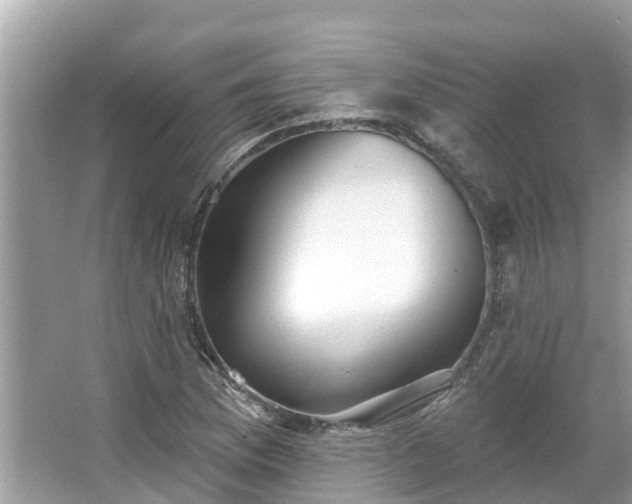 X0000063451169200601231344