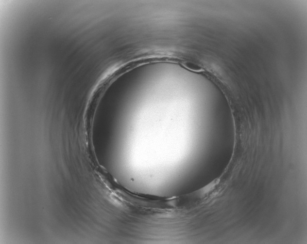 X0000063451172200601231344