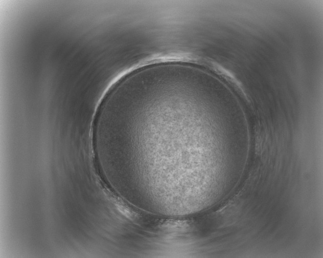 X0000063451174200601231344