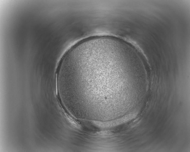 X0000063451175200601231344