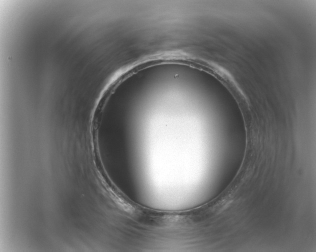 X0000063451176200601231344