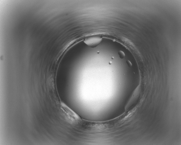 X0000063451177200601231344