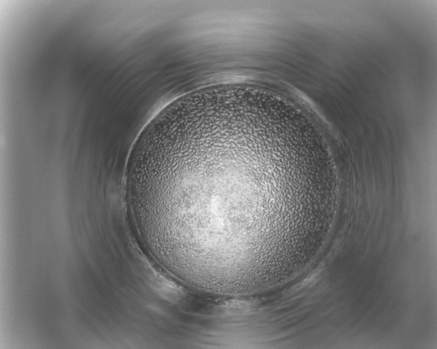 X0000063451178200601231344