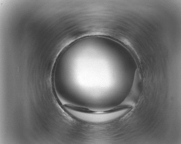 X0000063451181200601231344