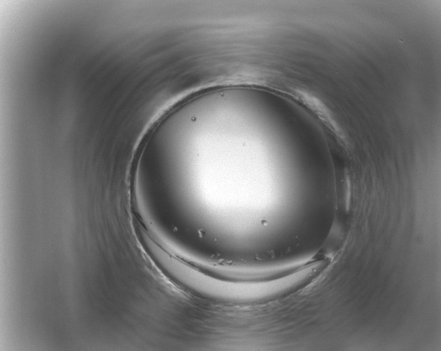 X0000063451184200601231344