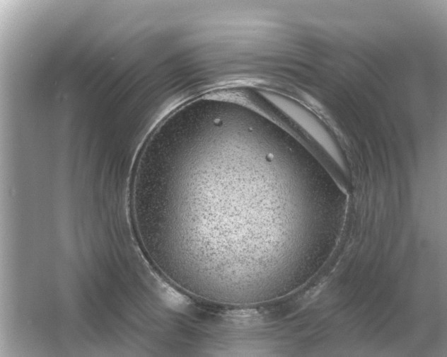 X0000063451186200601231344