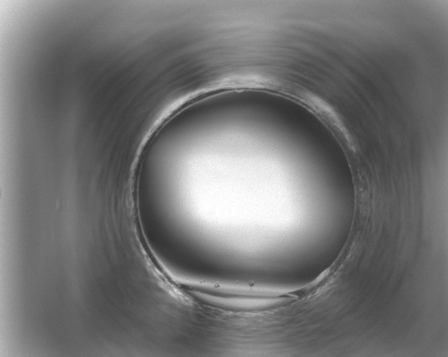 X0000063451192200601231344