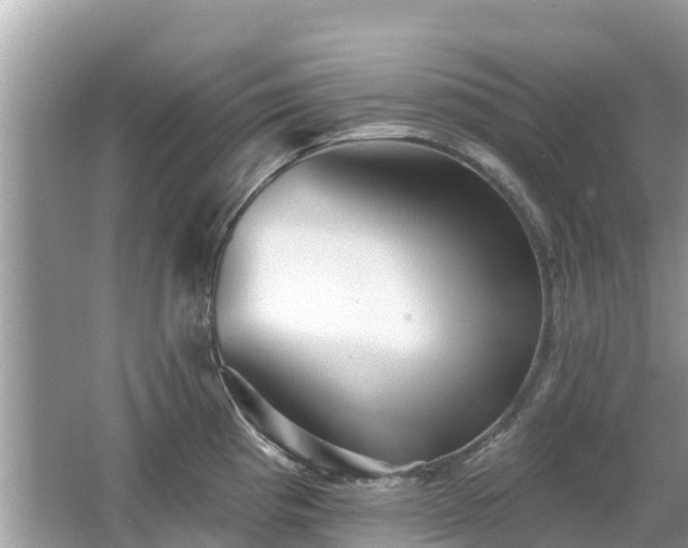 X0000063451193200601231344