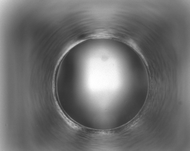 X0000063451195200601231344