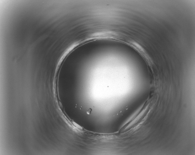 X0000063451196200601231344