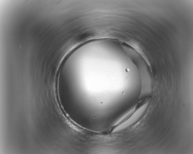 X0000063451197200601231344