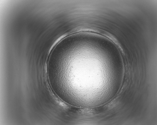 X0000063451198200601231344