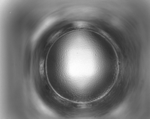 X0000063451199200601231344