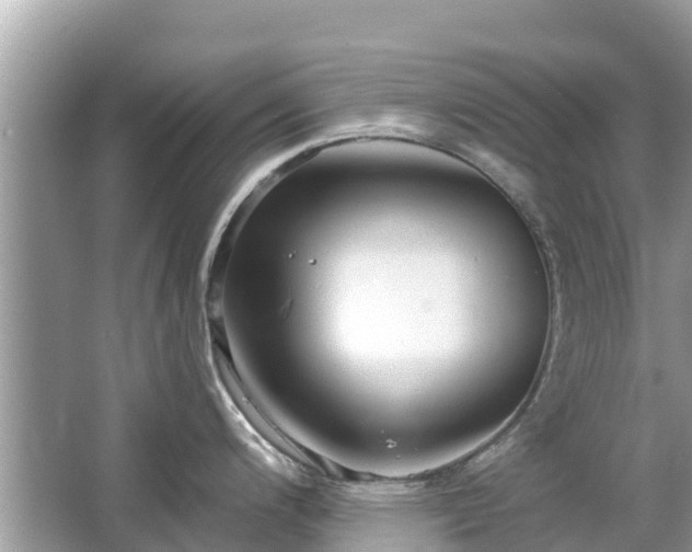 X0000063451200200601231344