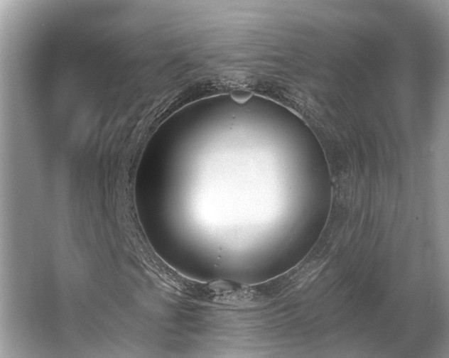 X0000063451201200601231343