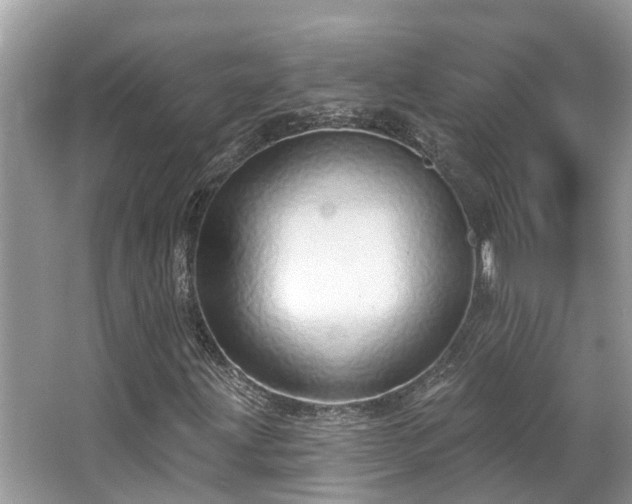 X0000063451203200601231343