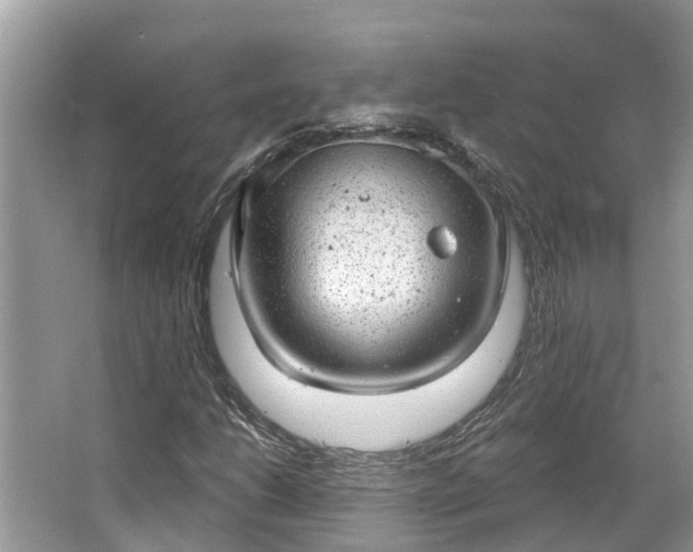 X0000063451206200601231343