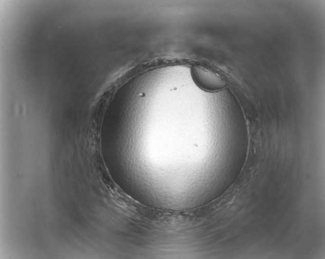 X0000063451207200601231343