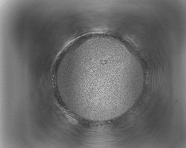 X0000063451208200601231343