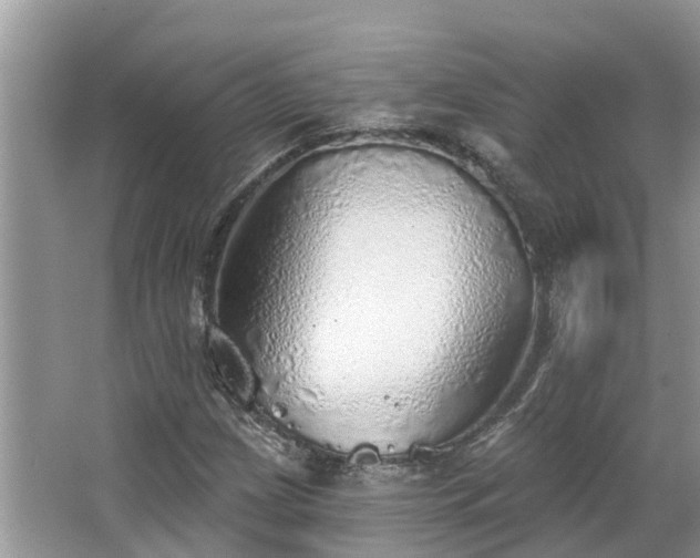 X0000063451209200601231343