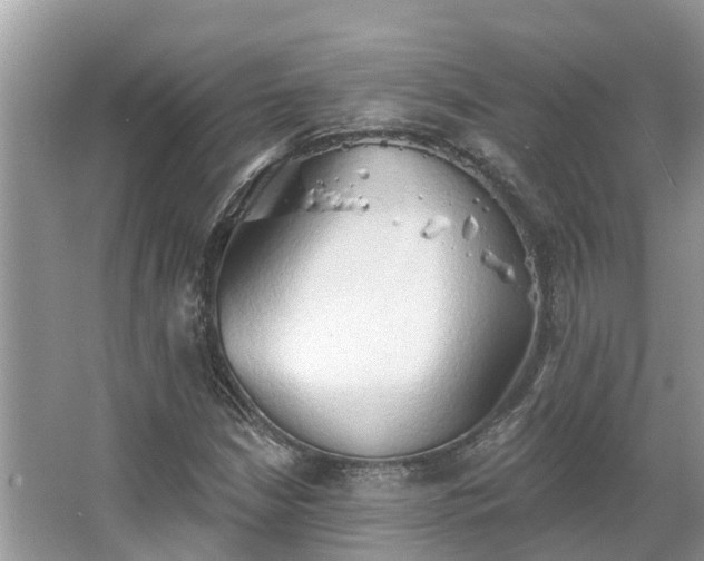 X0000063451210200601231343