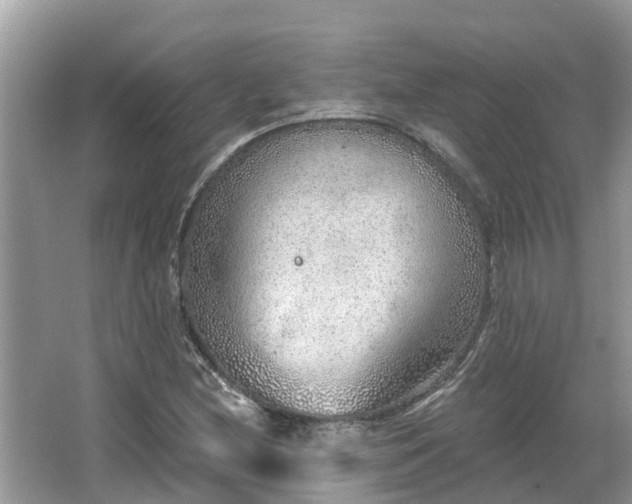 X0000063451212200601231343