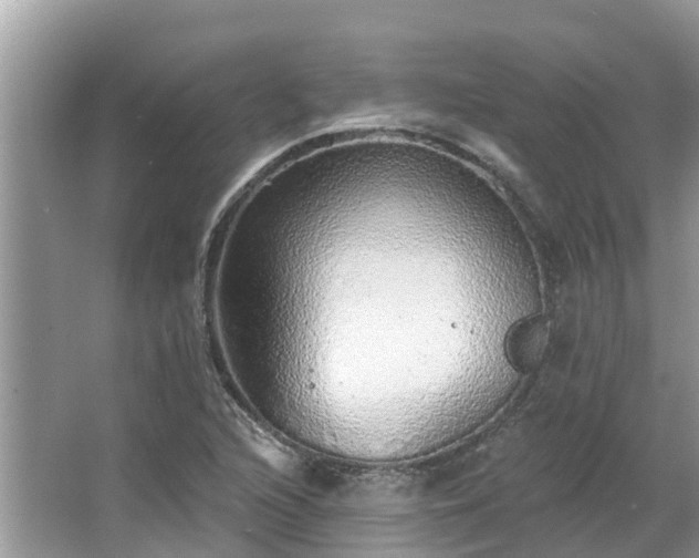 X0000063451216200601231343